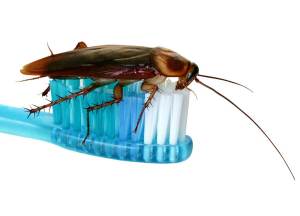 Hygiene Solutions