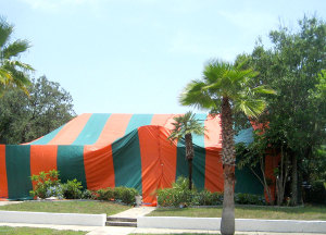 Fumigation