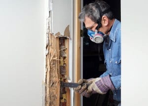 Home Termite Services