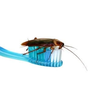 Hygiene Solutions